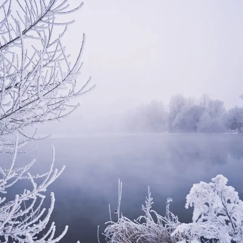 Polar Vortex: How Sudden Stratospheric Warming Sets the Stage for Cold-Air Outbreaks
