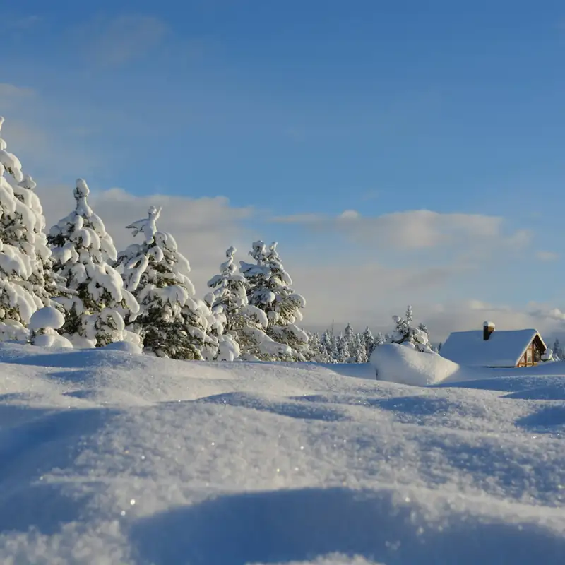 Holiday Update: New Tools for Winter Weather and Ocean Forecasts, Meet Version 48