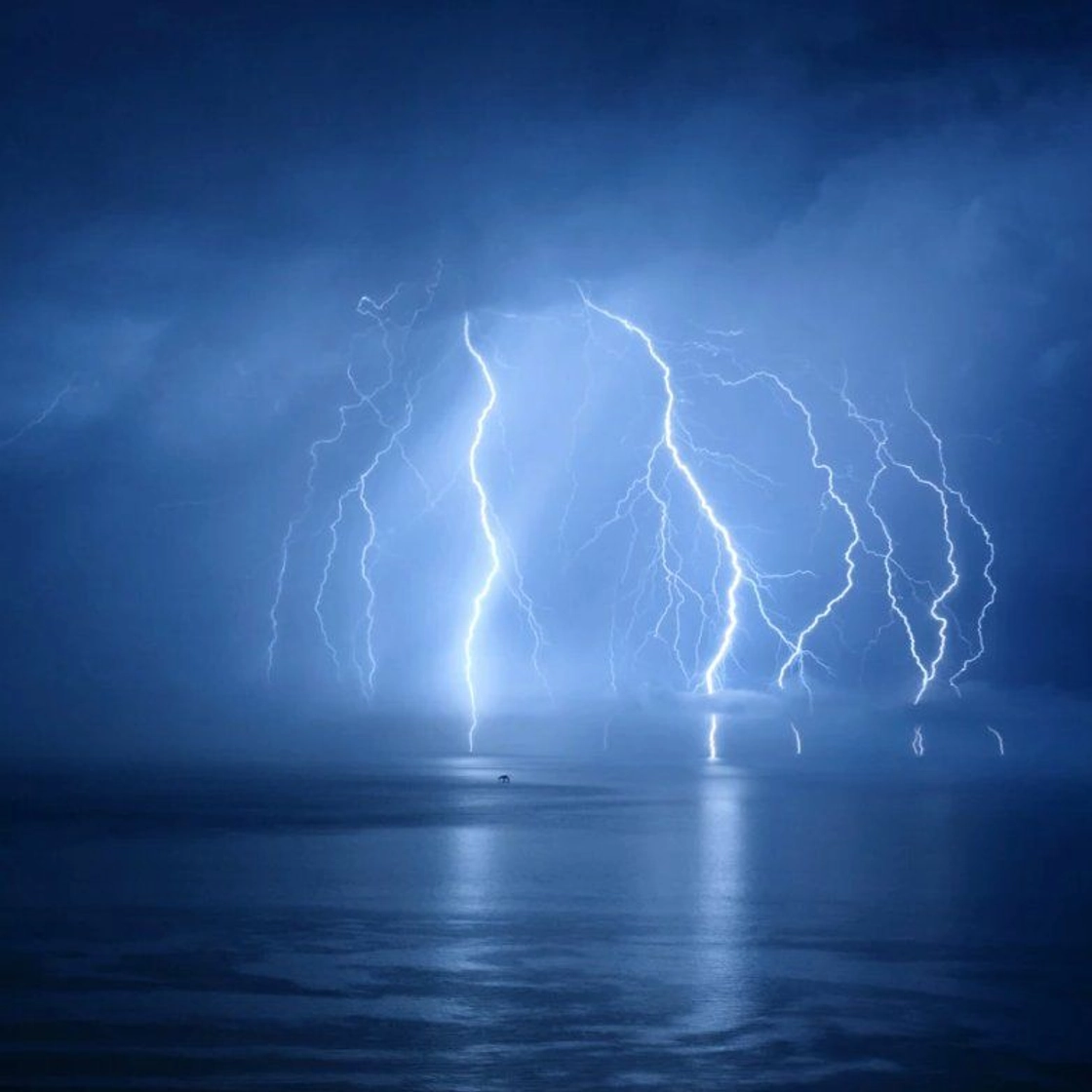 Lightning: How Electrical Discharges Form in Thunderstorms